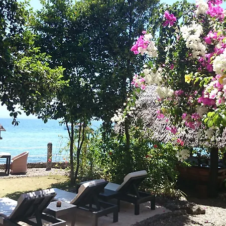 Dolphin House Resort Moalboal