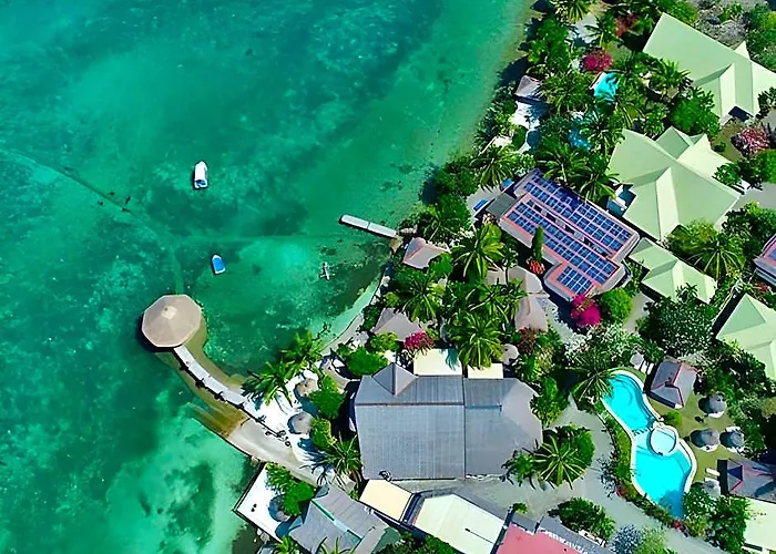 Dolphin House