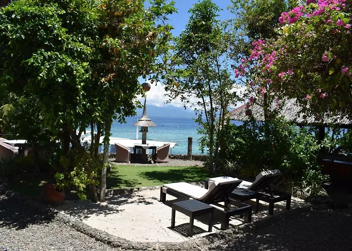 Dolphin House Moalboal