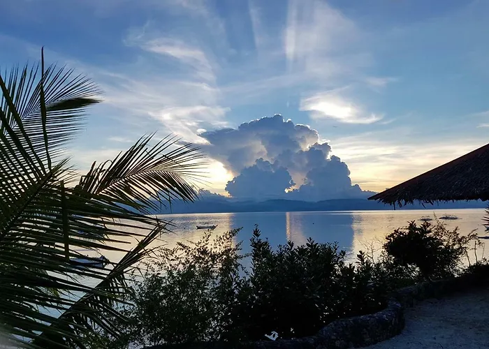 Resort Dolphin House Moalboal