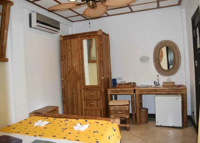 Dolphin House 5* Moalboal