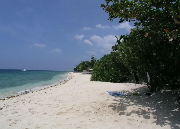 Resort Dolphin House 5*